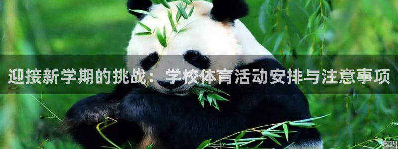 oety欧亿：迎接新学期的挑战：学校体育活动安排与注意事项