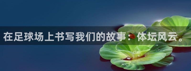 oety欧亿：在足球场上书写我们的故事：体坛风云。