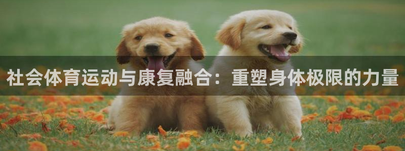 oety欧亿：社会体育运动与康复融合：重塑身体极限的力量