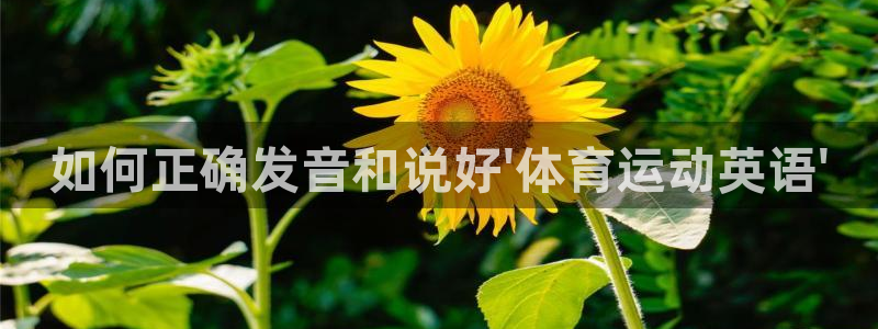 oety欧亿：如何正确发音和说好\'体育运动英语\'