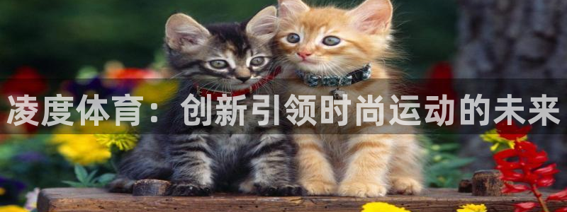 oety欧亿：凌度体育：创新引领时尚运动的未来