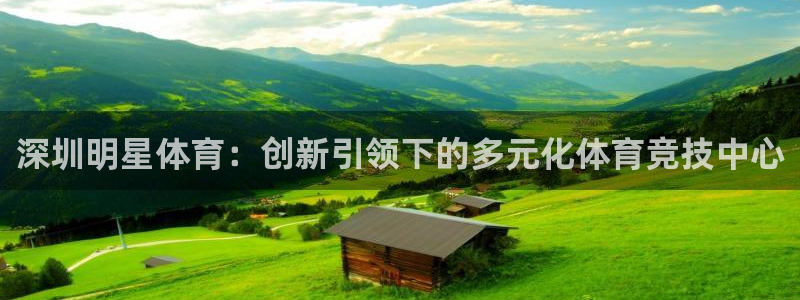 oety欧亿：深圳明星体育：创新引领下的多元化体育竞技中心