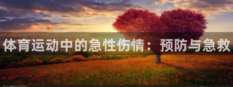 oety欧亿：体育运动中的急性伤情：预防与急救