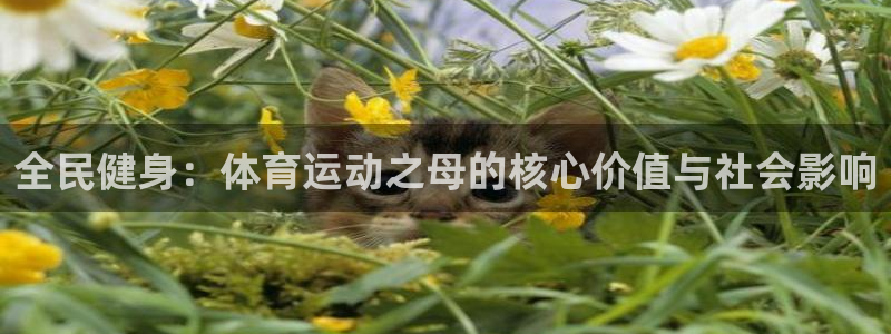 oety欧亿：全民健身：体育运动之母的核心价值与社会影响